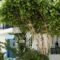 Katerina Roza Studios_accommodation_in_Hotel_Cyclades Islands_Naxos_Naxos chora