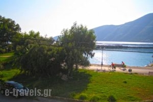 Kostas Studios_lowest prices_in_Room_Ionian Islands_Lefkada_Vasiliki