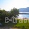 Kostas Studios_lowest prices_in_Room_Ionian Islands_Lefkada_Vasiliki