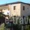 Venia Apartments_accommodation_in_Apartment_Macedonia_Halkidiki_Kassandreia