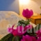 Filmar_travel_packages_in_Dodekanessos Islands_Rhodes_Ialysos