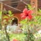 Sunrise Inn_travel_packages_in_Ionian Islands_Kefalonia_Kefalonia'st Areas