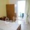 Karadolas Pension_holidays_in_Room_Aegean Islands_Thasos_Thasos Chora
