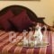 Santa Beach Hotel_travel_packages_in_Macedonia_Thessaloniki_Thessaloniki City