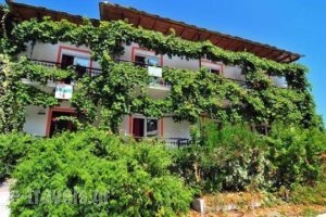 Chrissafis_accommodation_in_Hotel_Aegean Islands_Thasos_Thasos Chora