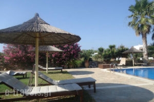 Antonina Apartments_holidays_in_Apartment_Cyclades Islands_Naxos_Agia Anna