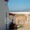 Lianos Studios_accommodation_in_Apartment_Cyclades Islands_Naxos_Naxos Chora