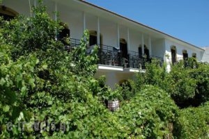 Pegasus_accommodation_in_Hotel_Aegean Islands_Samos_Pythagorio