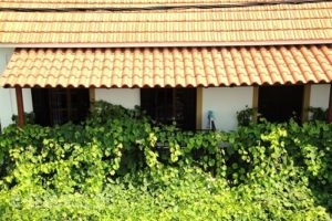 Pegasus_lowest prices_in_Hotel_Aegean Islands_Samos_Pythagorio