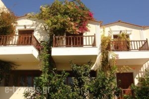Iliada Studios_accommodation_in_Hotel_Dodekanessos Islands_Karpathos_Karpathosora