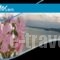 Anemos Hotel_best deals_Hotel_Macedonia_Halkidiki_Haniotis - Chaniotis