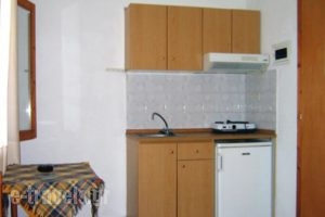 Rappos Studios Dimitra_holidays_in_Hotel_Macedonia_Halkidiki_Kassandreia