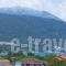 Muses Studios_accommodation_in_Hotel_Ionian Islands_Kefalonia_Kefalonia'st Areas