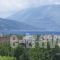 Muses Studios_holidays_in_Hotel_Ionian Islands_Kefalonia_Kefalonia'st Areas