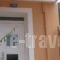 Muses Studios_best deals_Hotel_Ionian Islands_Kefalonia_Kefalonia'st Areas