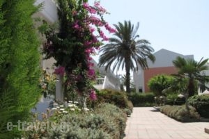 Valsami Hotel Apartments_best prices_in_Apartment_Dodekanessos Islands_Rhodes_Rhodes Rest Areas