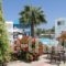 Valsami Hotel Apartments_lowest prices_in_Apartment_Dodekanessos Islands_Rhodes_Rhodes Rest Areas