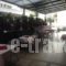 Honorata_lowest prices_in_Hotel_Macedonia_Pieria_Paralia Katerinis