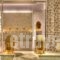 Salvator Villas & Spa_best deals_Villa_Epirus_Preveza_Parga