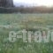 Countryside Studios_lowest prices_in_Hotel_Ionian Islands_Kefalonia_Kefalonia'st Areas