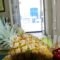 Elia Studios_best prices_in_Hotel_Cyclades Islands_Naxos_Naxos chora