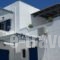 Elia Studios_accommodation_in_Hotel_Cyclades Islands_Naxos_Naxos chora
