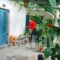 George_travel_packages_in_Dodekanessos Islands_Tilos_Livadia