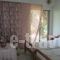 Nick House_holidays_in_Room_Aegean Islands_Lesvos_Plomari