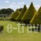 Mirtia Studios_lowest prices_in_Hotel_Ionian Islands_Kefalonia_Kefalonia'st Areas