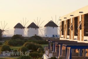 Mykonos Theoxenia Luxury Boutique Hotel_accommodation_in_Hotel_Cyclades Islands_Mykonos_Mykonos ora