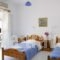 Moschoula Studios_holidays_in_Hotel_Cyclades Islands_Paros_Paros Chora