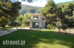 Brunello Seaside Apartments in Lefkada Chora, Lefkada, Ionian Islands