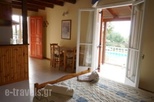 Aria_holidays_in_Apartment_Ionian Islands_Kefalonia_Kefalonia'st Areas