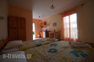 Aria_accommodation_in_Apartment_Ionian Islands_Kefalonia_Kefalonia'st Areas