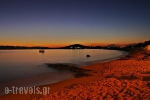 Dina Naxos Studios_best prices_in_Hotel_Cyclades Islands_Naxos_Naxos chora