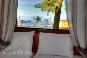 Loutrou Beach Bungalows_accommodation_in__Aegean Islands_Thasos_Thasos Chora