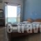 Damo Boutique Hotel_best prices_in_Hotel_Aegean Islands_Samos_Pythagorio