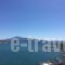 Damo Boutique Hotel_best deals_Hotel_Aegean Islands_Samos_Pythagorio