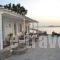 Agia Anna Studios_accommodation_in_Hotel_Cyclades Islands_Mykonos_Mykonos Chora