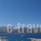 Roses Studios_best prices_in_Hotel_Dodekanessos Islands_Karpathos_Karpathos Chora