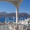 Roses Studios_accommodation_in_Hotel_Dodekanessos Islands_Karpathos_Karpathos Chora