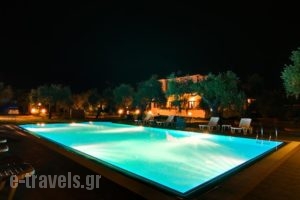 Hotel Nefeli_best deals_Hotel_Aegean Islands_Thasos_Thasos Chora