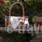 Villa De Loulia_travel_packages_in_Ionian Islands_Corfu_Corfu Rest Areas