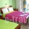 Katerina Roza Studios_best prices_in_Hotel_Cyclades Islands_Naxos_Naxos chora