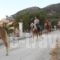 Leonidas Studios_lowest prices_in_Hotel_Ionian Islands_Kefalonia_Kefalonia'st Areas