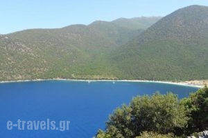 Leonidas Studios_best prices_in_Hotel_Ionian Islands_Kefalonia_Kefalonia'st Areas