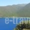 Leonidas Studios_best prices_in_Hotel_Ionian Islands_Kefalonia_Kefalonia'st Areas