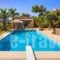 Aegean Blue Villa_travel_packages_in_Crete_Heraklion_Chersonisos