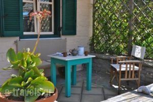 To The Garden_lowest prices_in_Hotel_Cyclades Islands_Paros_Alyki