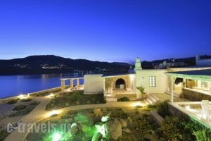 Mykonos Antheon_travel_packages_in_Cyclades Islands_Mykonos_Mykonos ora